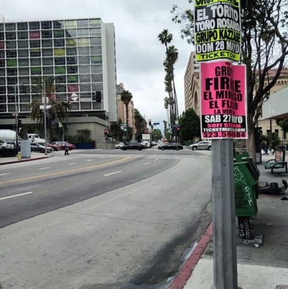 Meet your Posher, Gerardo - Picture 1 of 1